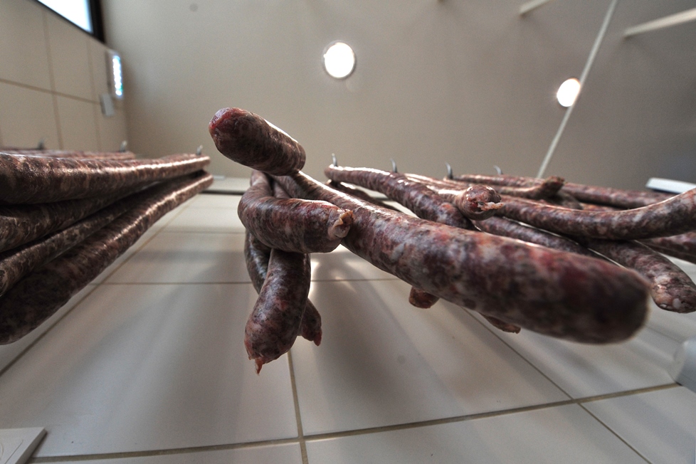 ????????????????????????????????????