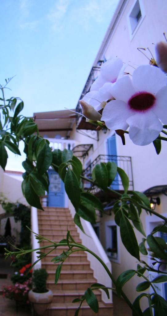 NiriidesGuesthouse17