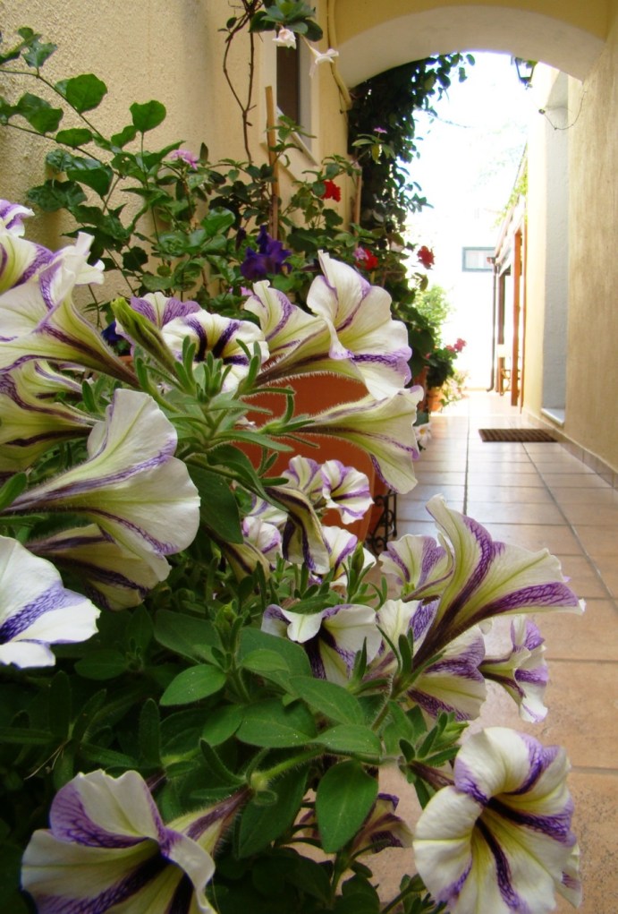 NiriidesGuesthouse24